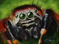 Arachné, vignette vue principale (Figuratif, 2021)
