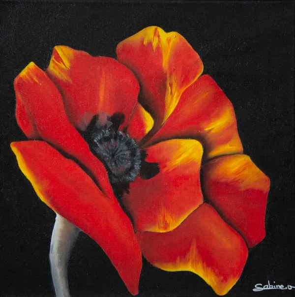 Pavot, Figuratif, 2020, 40 × 40 cm, toile de Sabine Vandermouten