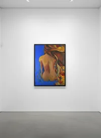 Terre de Soleil, vignette vue 4 (Nus, 2019)
